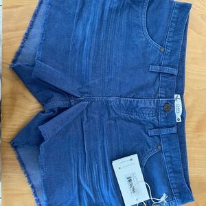 Carve Designs Oahu Short  Size 8